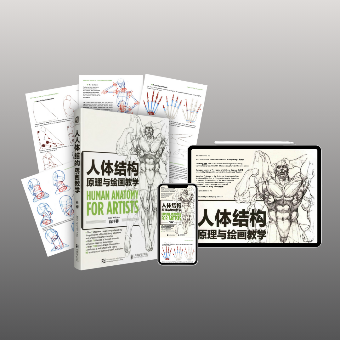 Human Anatomy for Artists - Master Package (Physical + Digital Access)